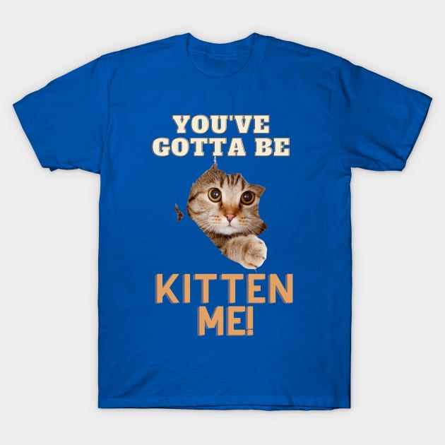 You gotta be kitten me shirt deals